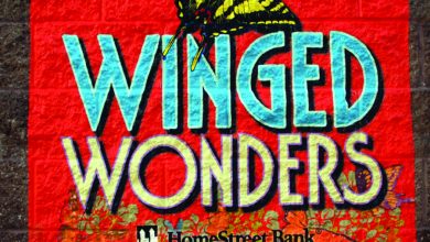 Today's rough wall films are so good that the illusion of painted graphics is nearly perfect, even on this heavily textured surf