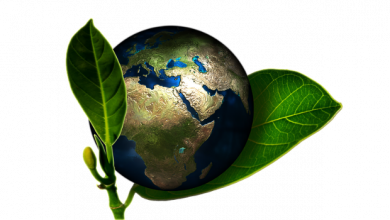 eco-friendly screen printing