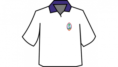 shirt logo