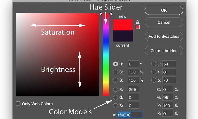 The Digital Eye: Painting with Pixels