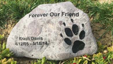 pet memorial