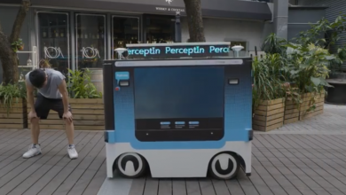 perceptin_2