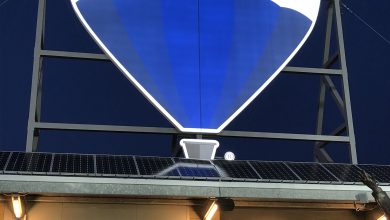 remax balloon