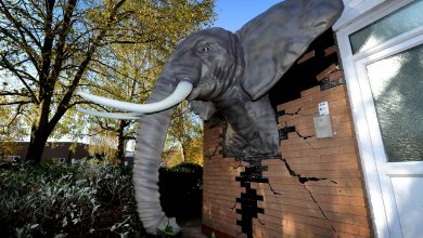 massivit_elephant