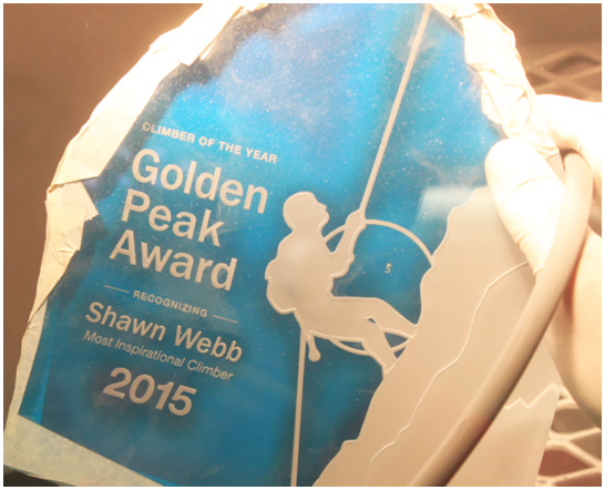 ikonics stagecarve step4c