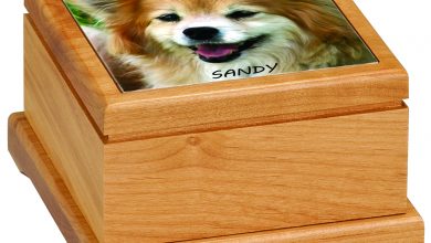 Pet urn