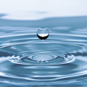 TINTEX, a Portuguese textile company driven by responsible innovation, partners with Drip By Drip in a water-saving initiative