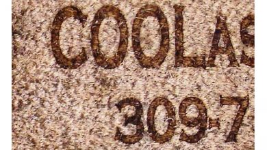 vector engraving c02 laser