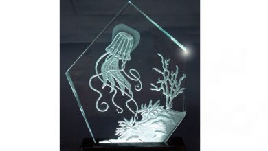 sandcarving jellyfish decorative art award