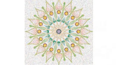 Pointillizer tool CorelDRAW