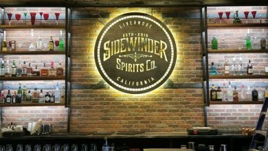 sidewinder-using-street-fighter-mini