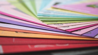 color palette brand business