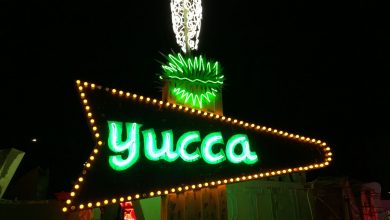 YUCCA SIGN