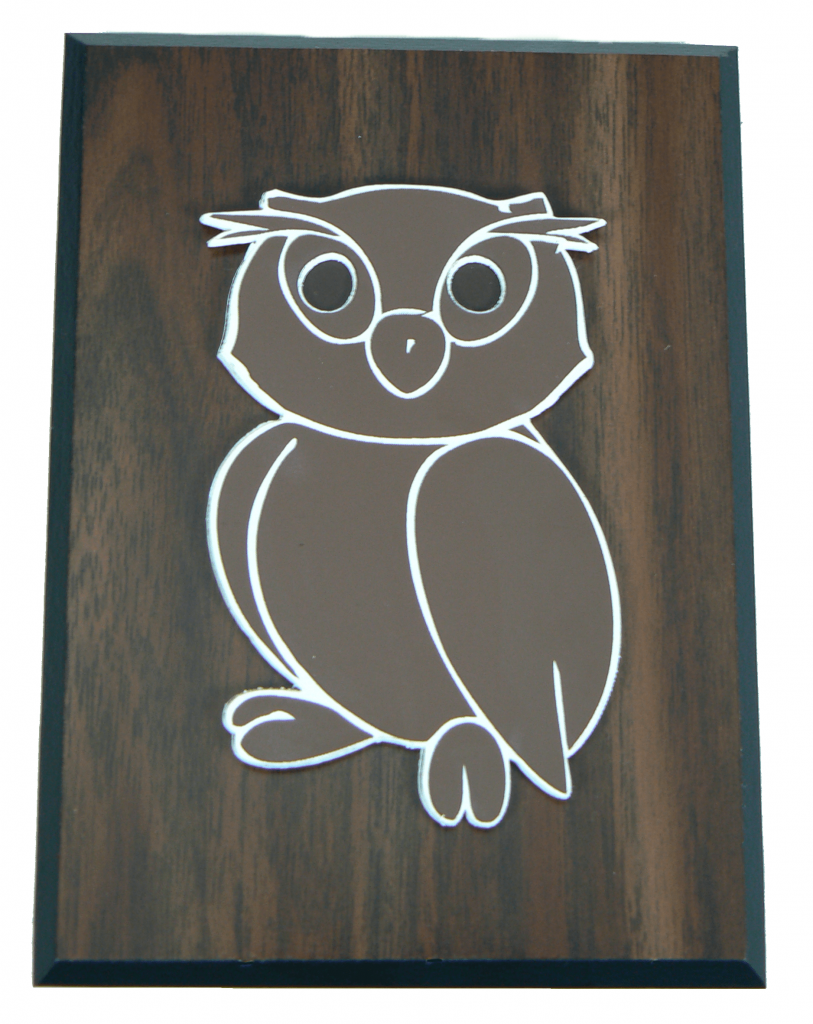 Try This Laser Cut an Owl Appliqué GRAPHICS PRO