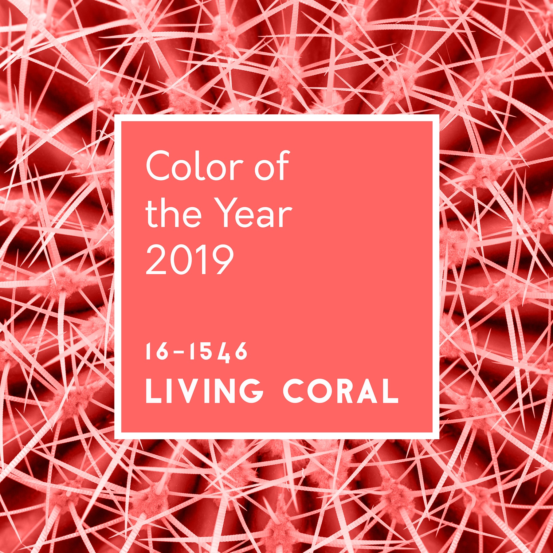 living coral coy2019