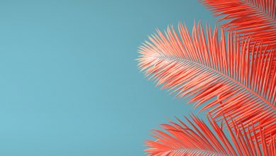 living coral color with blue trending design sublimation