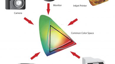 color management