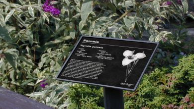 laser marking metal sign flowers Horizons