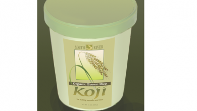 CorelDRAW distort bitmap images Envelope tool