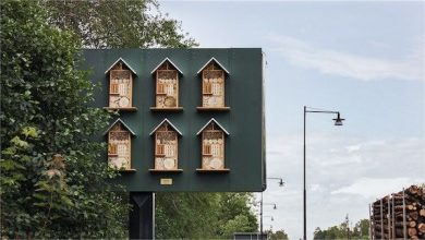 jcdecaux1bees