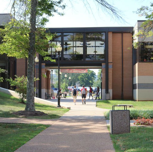 mineral college