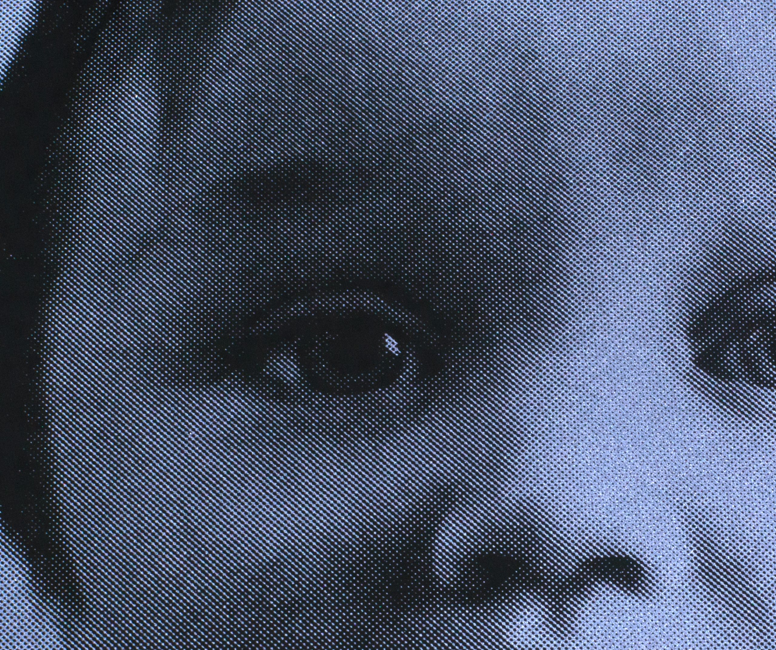 baby halftone tight scaled