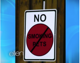 Funny signs with Ellen DeGeneres