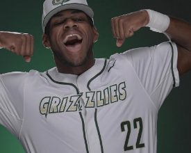 Come spring 2020, Georgia Gwinnett College will have a new look for its six intercollegiate teams.