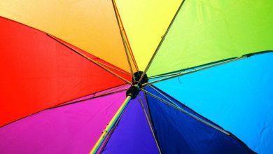 There are three basic concepts to know: monochromatic, complementary, and analogous colors.