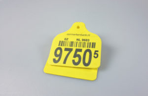 marking plastic eartag