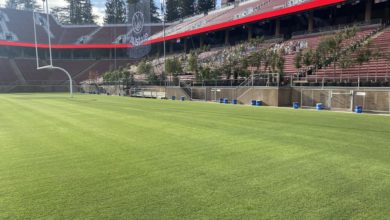 Stanford field
