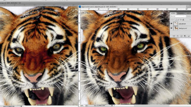 screen printing color separation