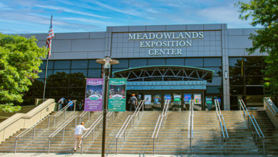 Meadowlands