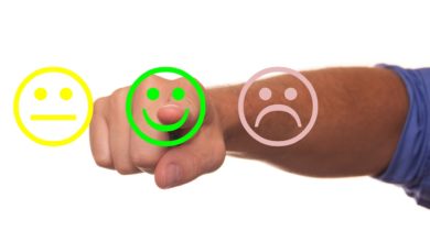 Feedback