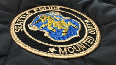 patch embroidery