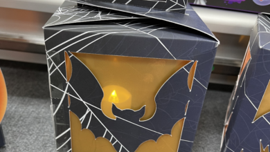 bat lantern box