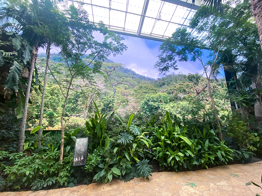 Ford AV Social-Dallas World Aquarium-7