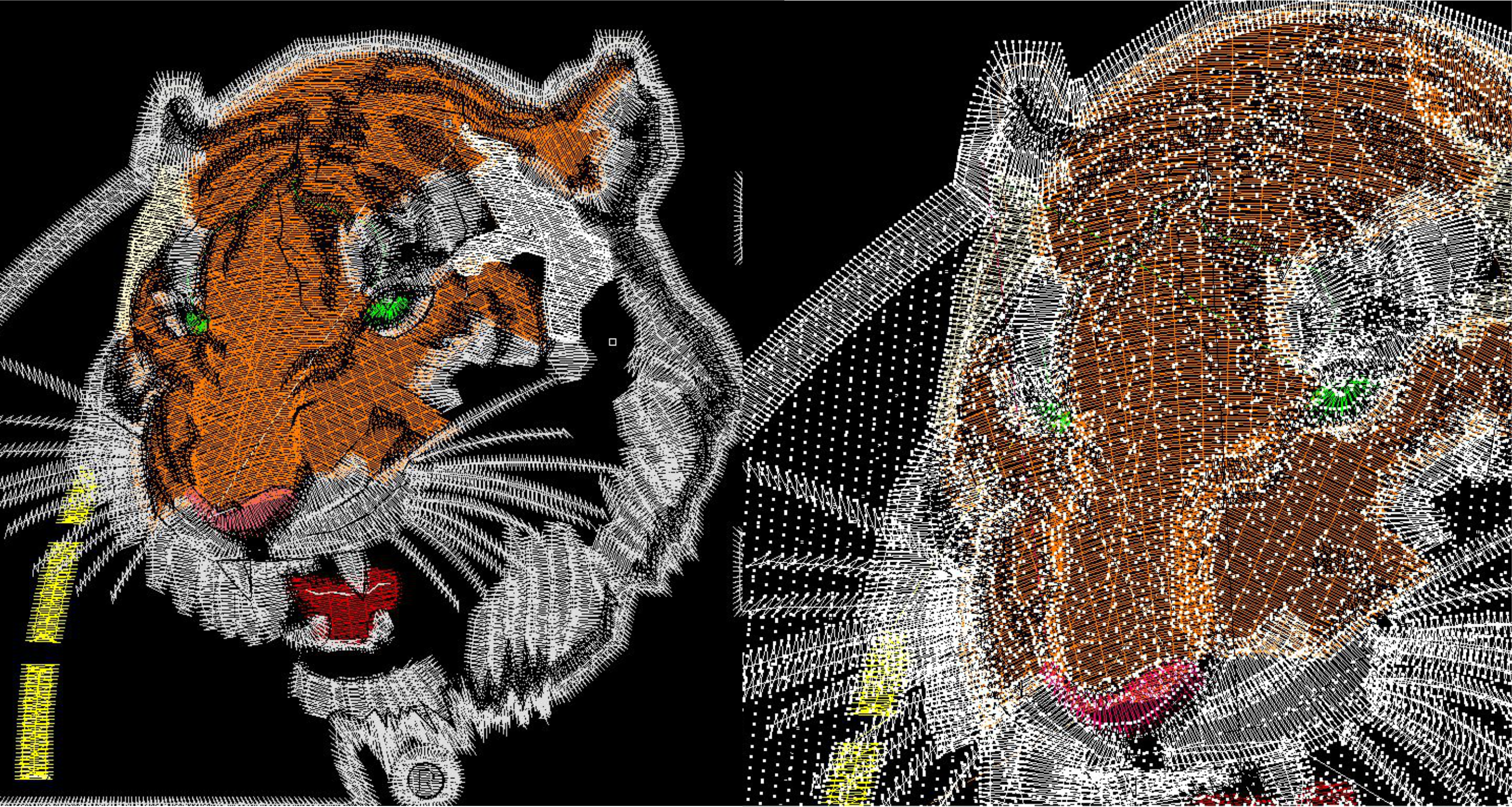 File Observation Law Tiger