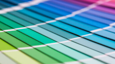 color palette