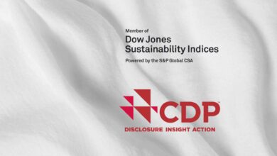 gildan 2022 djsi cpd