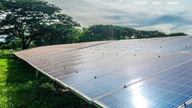 q-tees solar