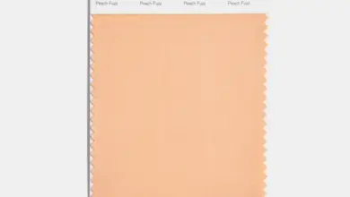 pantone