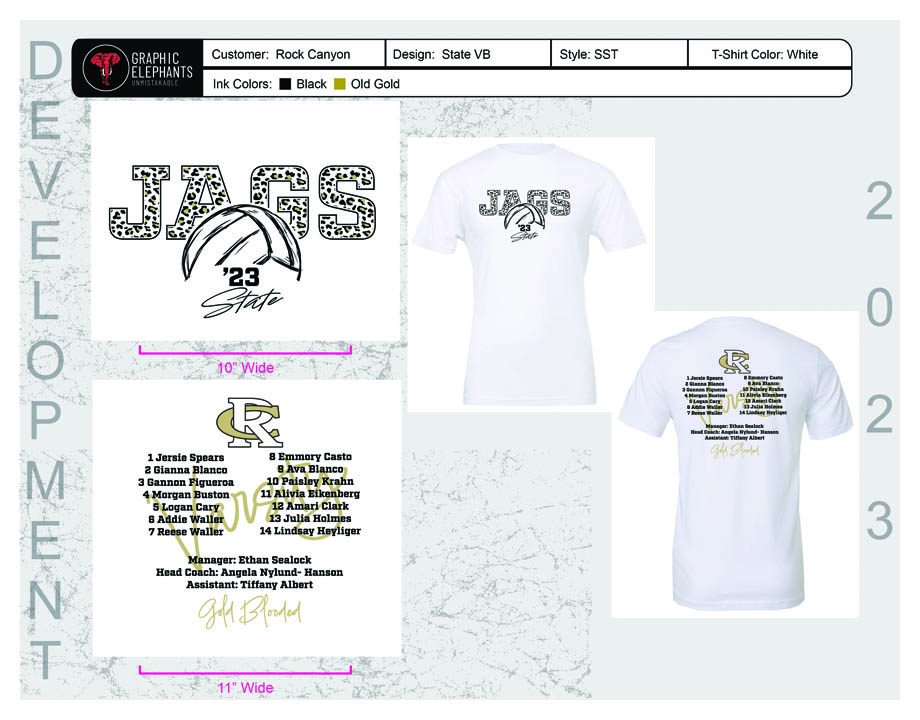 Rock Canyon State VB Proof 11 2023 01