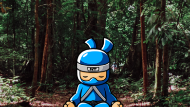 Image courtesy of Ninja Transfers