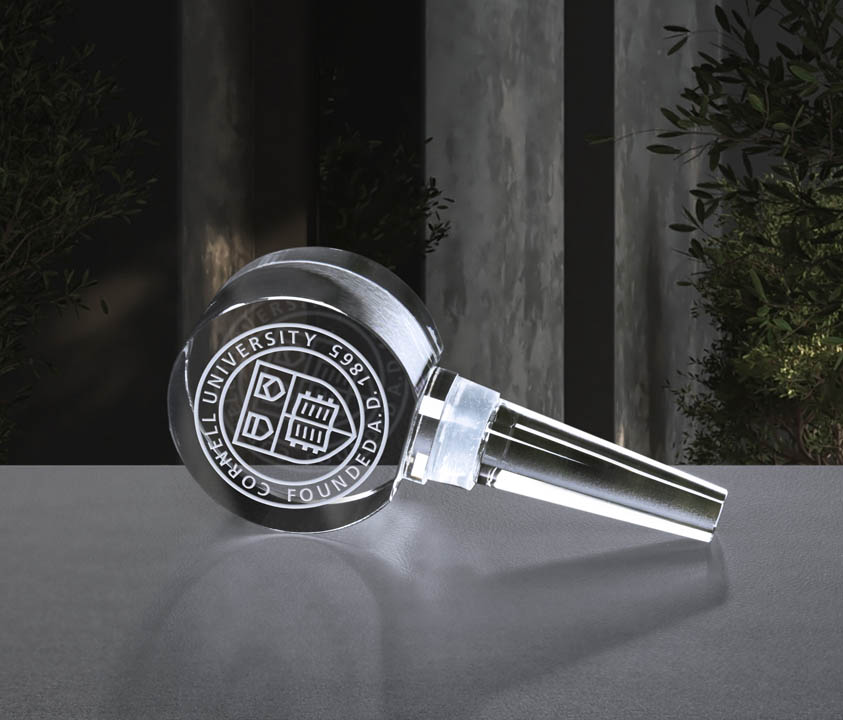 6493 Cornell University