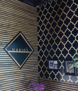 0T9A8995 e1744842493645