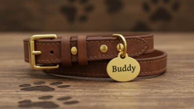 pet products