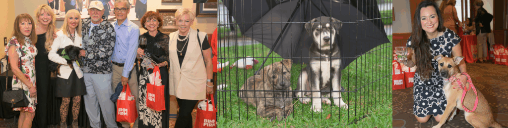 Thank you graphic e1747086192870