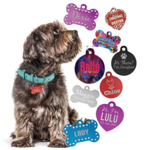 GP 0625 Pet Tag35