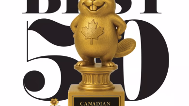 corporate knights beaver award - gildan